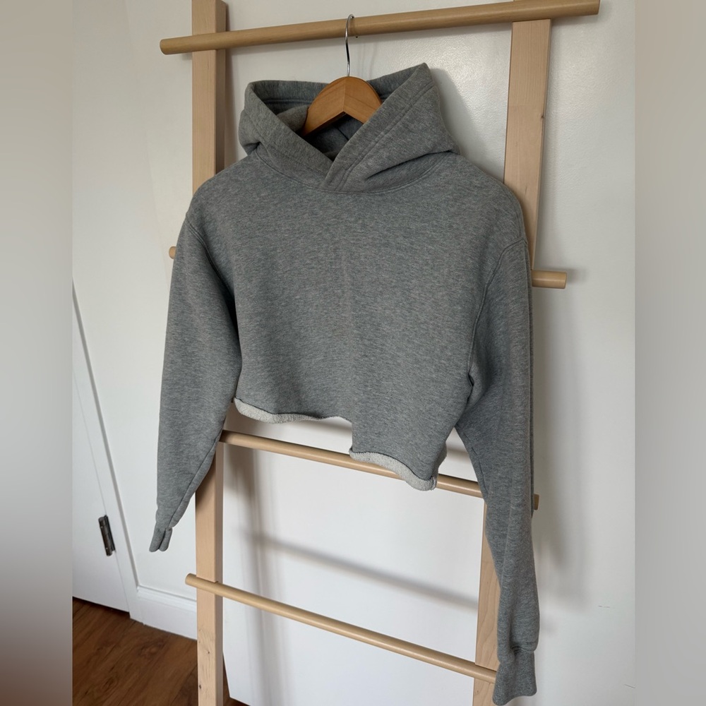 Aritzia Terry Sweatfleece Raw-hem Cropped Hoodie